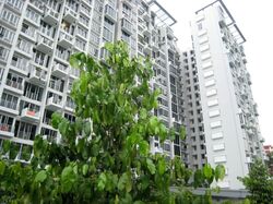 Grandeur 8 (D20), Condominium #558836241